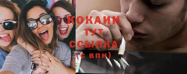 индика Балабаново