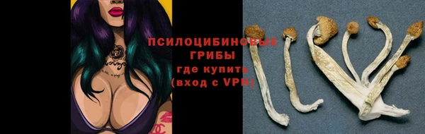 мет Баксан