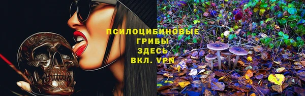 индика Балабаново