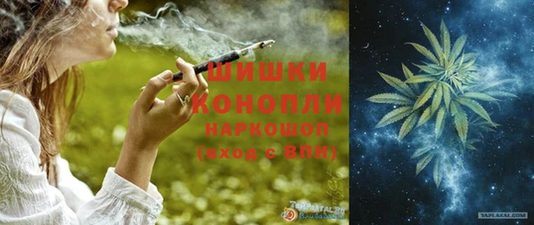 индика Балабаново