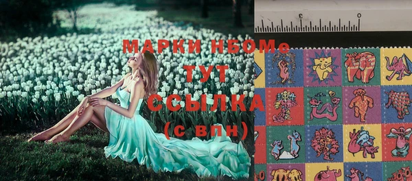 индика Балабаново